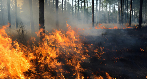 Incendi, la Spagna in emergenza nazionale: oltre 120mila ettari bruciati